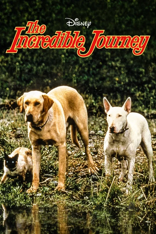 The Incredible Journey poster