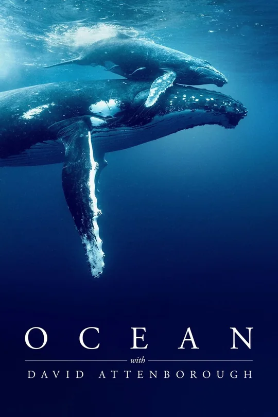 Ocean with David Attenborough movie poster