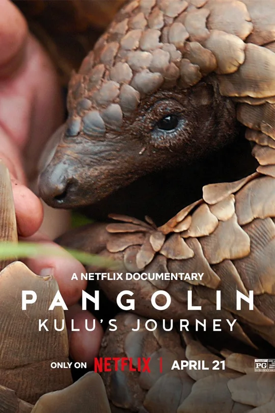 Pangolin: Kulu's Journey poster