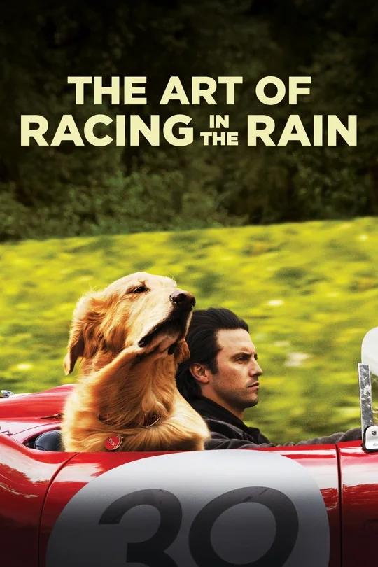 The Art of Racing in the Rain poster