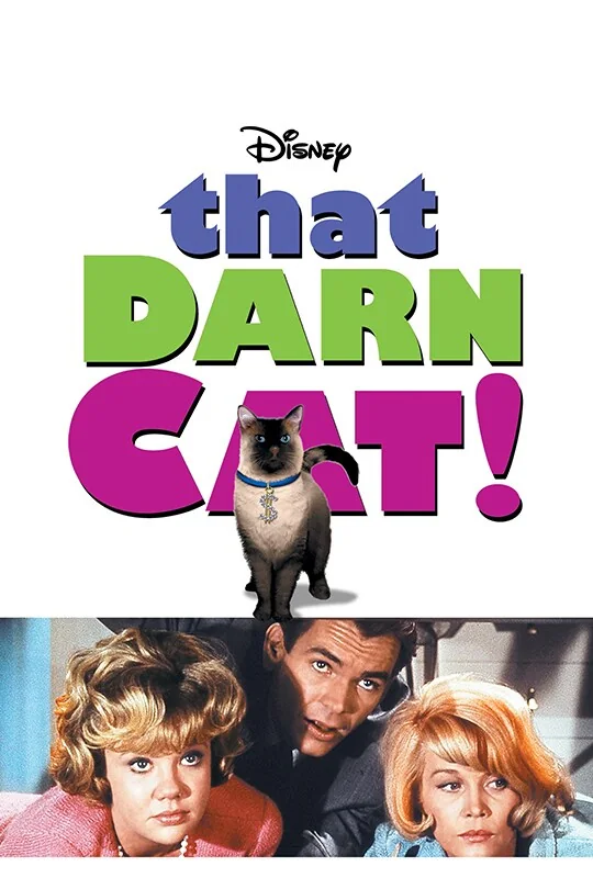 That Darn Cat! poster