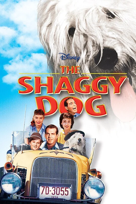 The Shaggy Dog poster